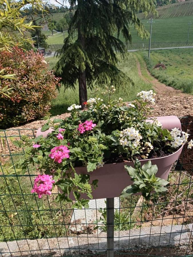 Bb Lady Bed & Breakfast Castelvetro di Modena Dış mekan fotoğraf