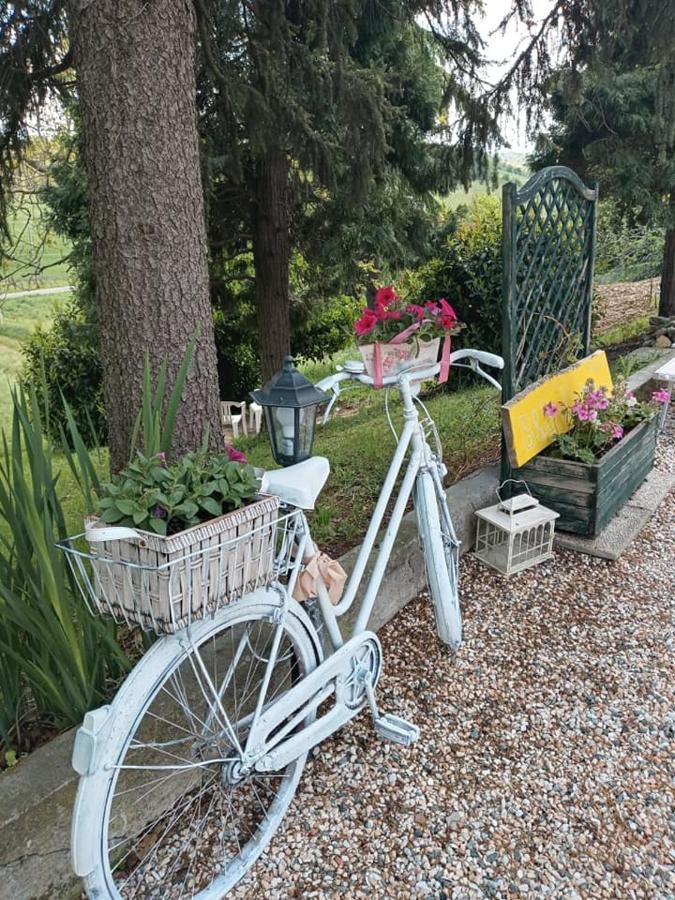 Bb Lady Bed & Breakfast Castelvetro di Modena Dış mekan fotoğraf